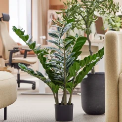 Tekokasvi ZZ EVERGREEN 1000 mm, 1 kpl/pk