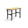 Teollisuuspöytä TRUST Siirrettävä, 1500x760 mm, 200 kg, kovalevy